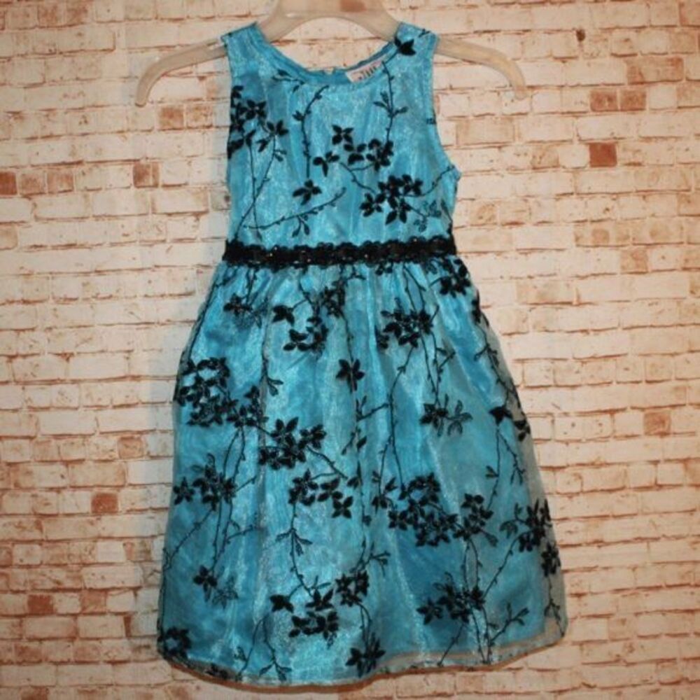 Zoey Sleeveless Blue Floral Dress Size 6x